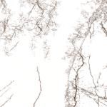 Elegant divar kafeli 30x60